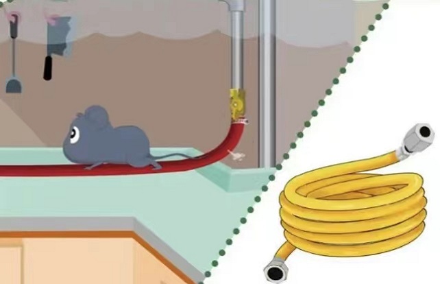 微信圖片_202303100855171.jpg 微信圖片_202303100855171.jpg